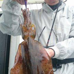 シースナイパー海龍 釣果