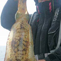 シースナイパー海龍 釣果