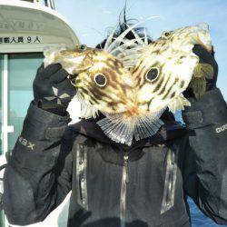 アマテラス 釣果