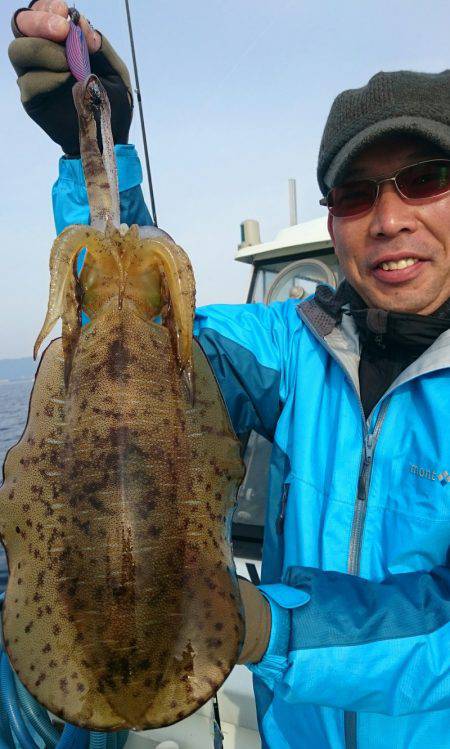 シースナイパー海龍 釣果