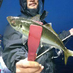 シースナイパー海龍 釣果