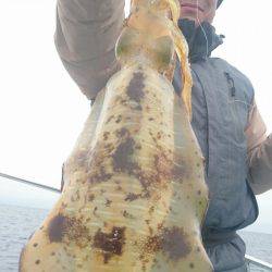 シースナイパー海龍 釣果