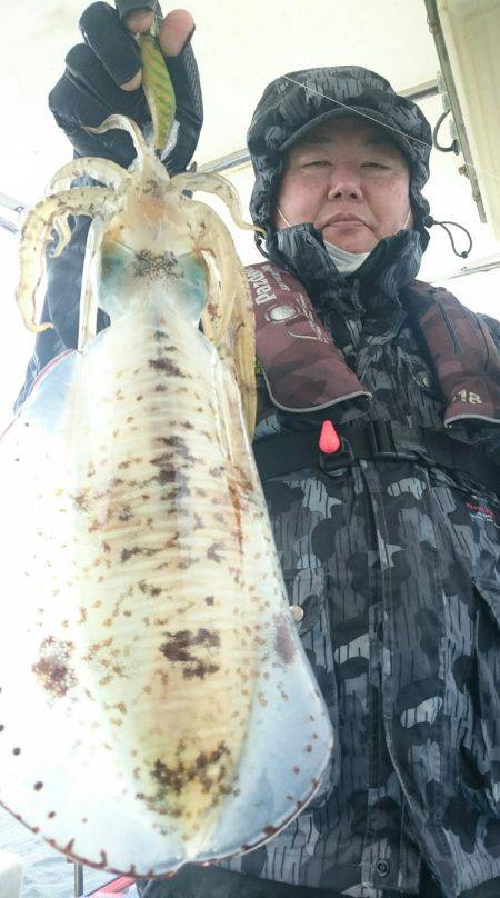 シースナイパー海龍 釣果