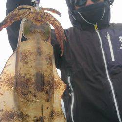 シースナイパー海龍 釣果