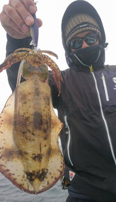 シースナイパー海龍 釣果