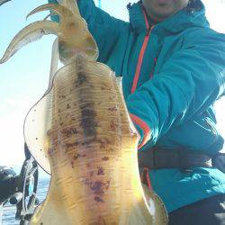 シースナイパー海龍 釣果