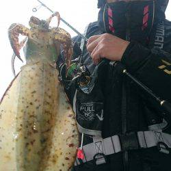 シースナイパー海龍 釣果