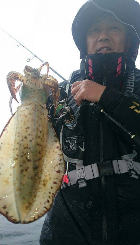 シースナイパー海龍 釣果