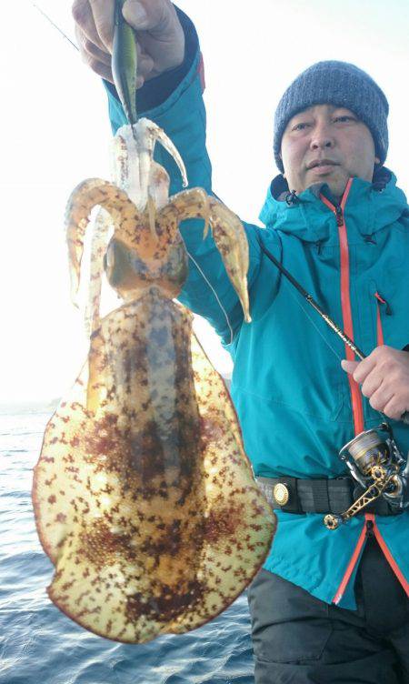 シースナイパー海龍 釣果