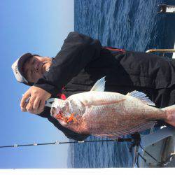 宮崎 福丸 釣果