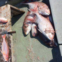 宮崎 福丸 釣果