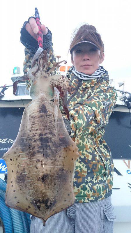 シースナイパー海龍 釣果