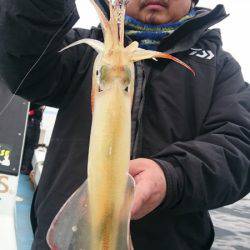 シースナイパー海龍 釣果