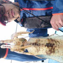 シースナイパー海龍 釣果