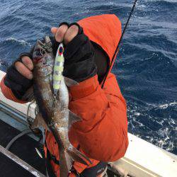 第八 源洋丸 釣果