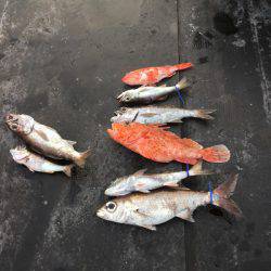 第八 源洋丸 釣果