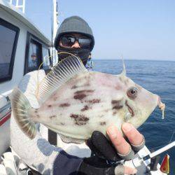 水天丸 釣果