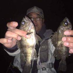 釣り船武蔵 釣果