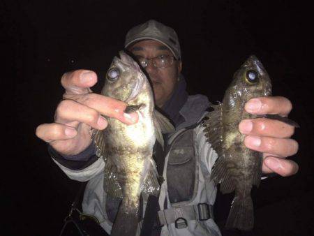 釣り船武蔵 釣果