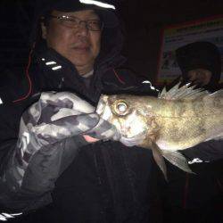 釣り船武蔵 釣果