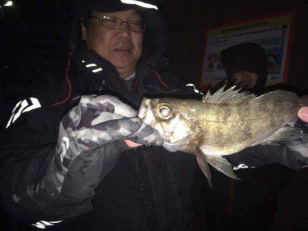 釣り船武蔵 釣果