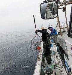 第二清洋丸 釣果