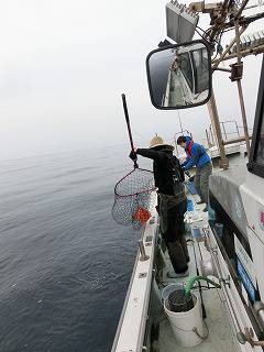 第二清洋丸 釣果