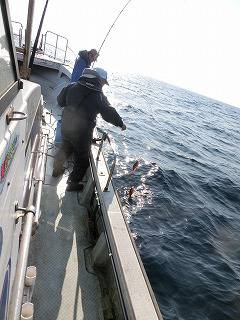 第二清洋丸 釣果