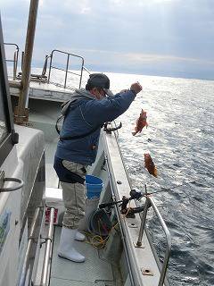 第二清洋丸 釣果