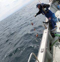 第二清洋丸 釣果