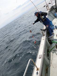 第二清洋丸 釣果