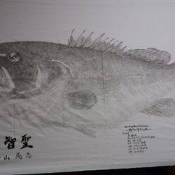 オーシャンパイオニア 釣果