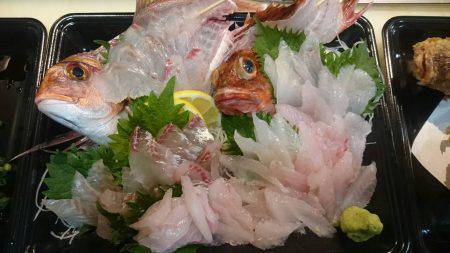 リトルワン 釣果