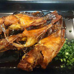 リトルワン 釣果