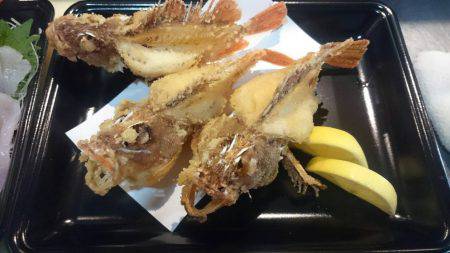 リトルワン 釣果