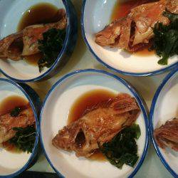 リトルワン 釣果