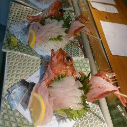 リトルワン 釣果