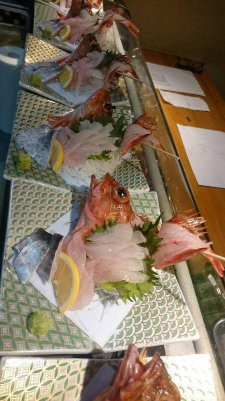 リトルワン 釣果