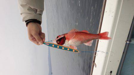 香織丸 釣果