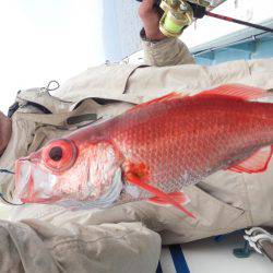 香織丸 釣果