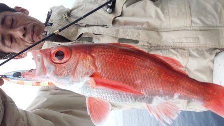 香織丸 釣果