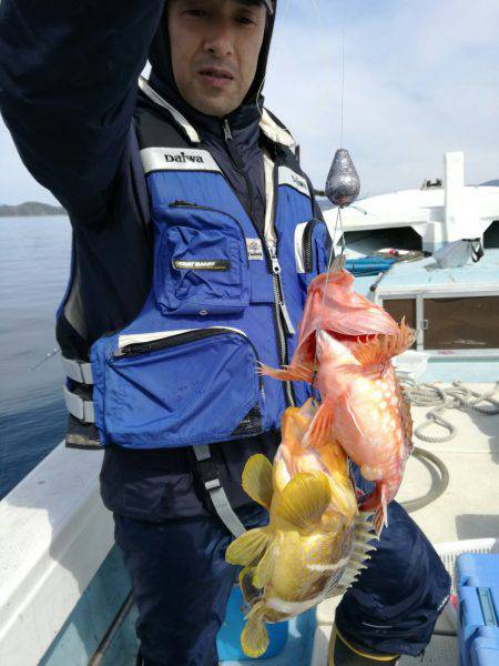 リトルワン 釣果