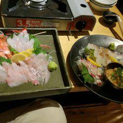 リトルワン 釣果