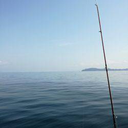 リトルワン 釣果