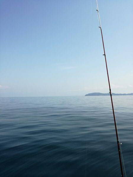 リトルワン 釣果