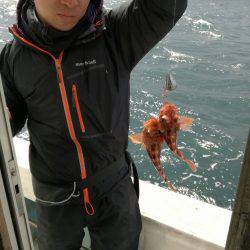 リトルワン 釣果