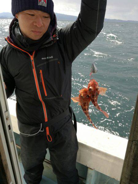 リトルワン 釣果