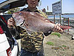 遊漁船 未紗奈 釣果