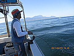 遊漁船 未紗奈 釣果