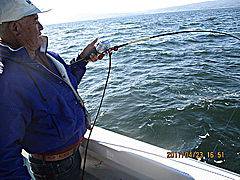 遊漁船 未紗奈 釣果